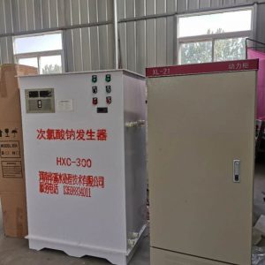 300g次氯酸钠发生器主机