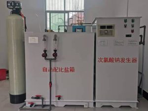 200g电解盐次氯酸钠发生器