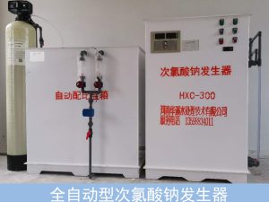 300g次氯酸钠发生器