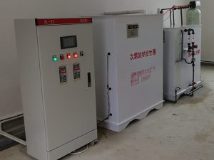 400g次氯酸钠发生器；次氯酸钠发生器设备价格￥：45000元